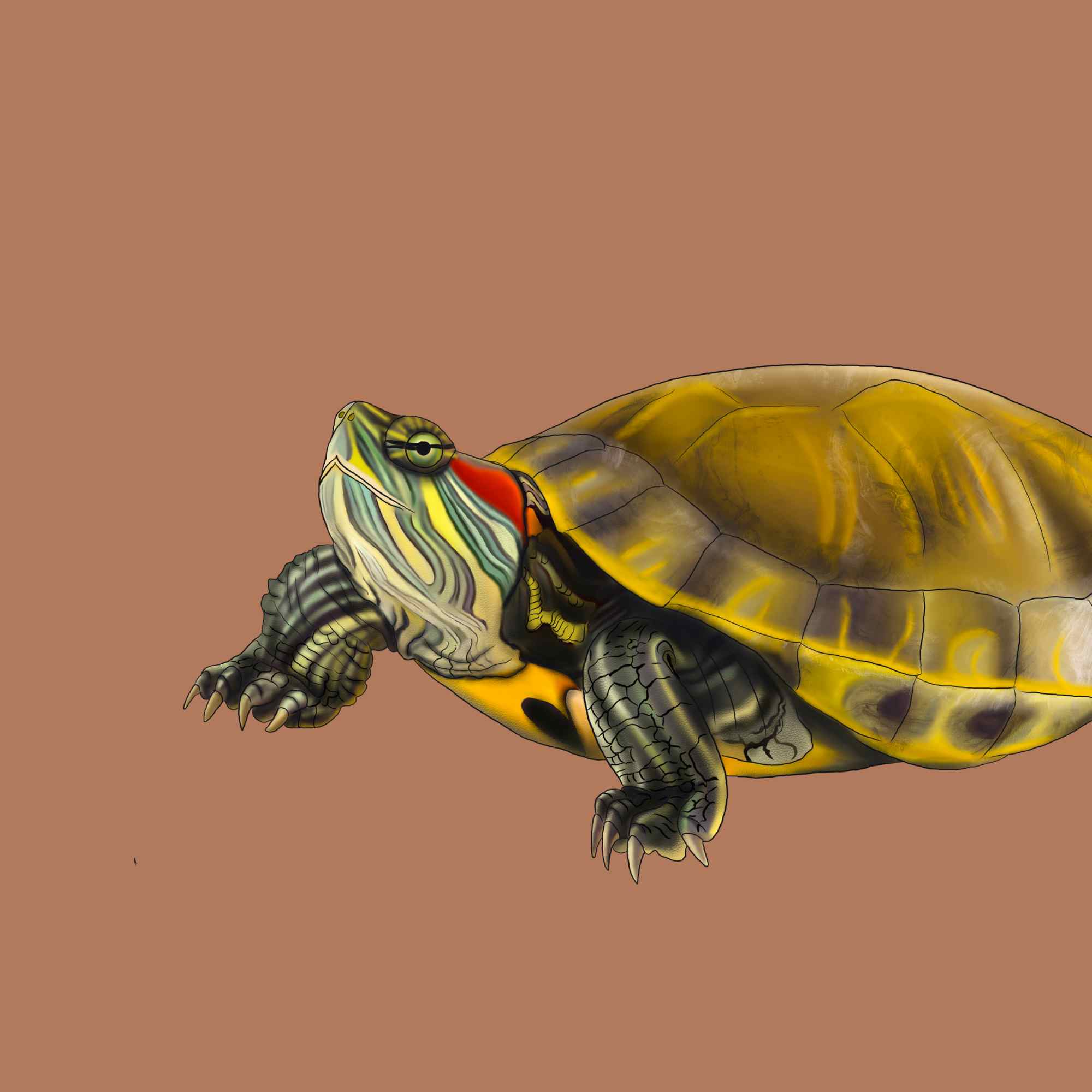 Animal Show: Silly Reptiles