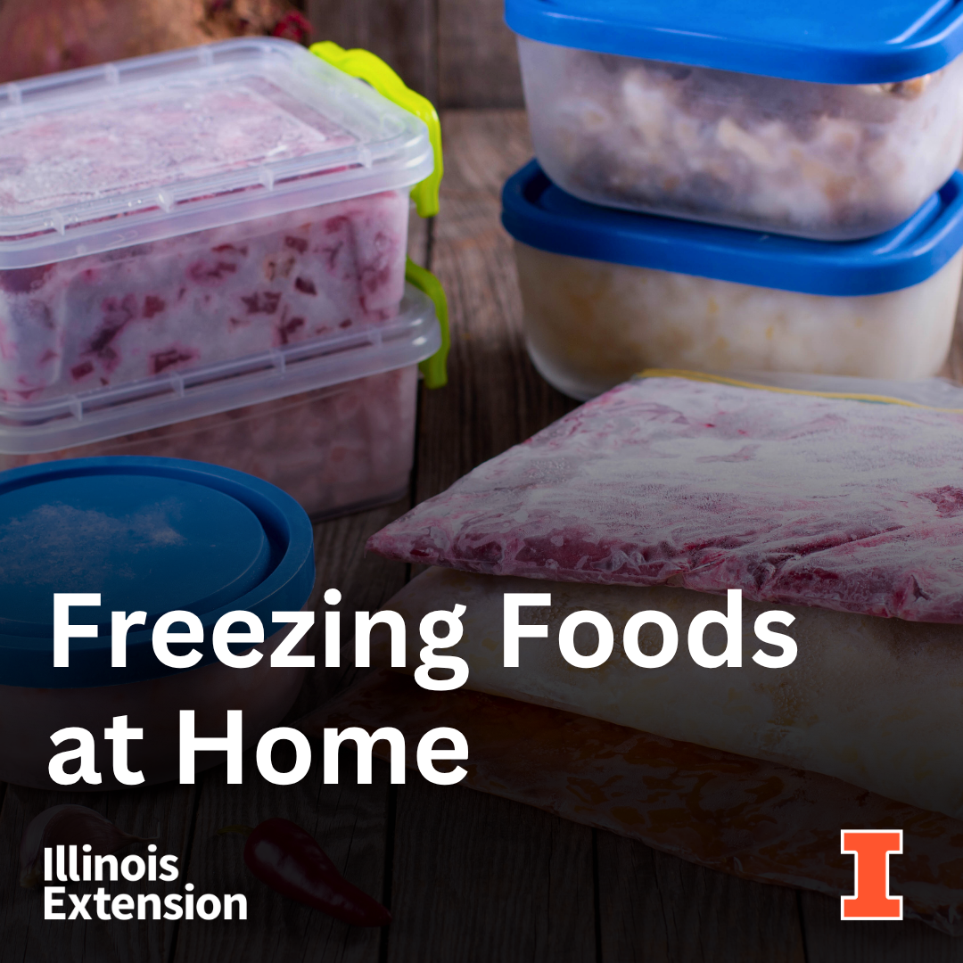 Freezing at Home Watch Party