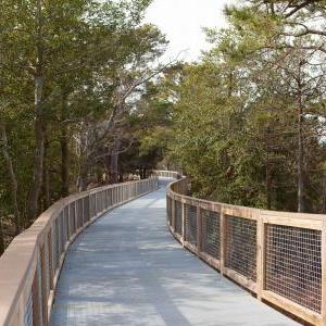 Volunteer Days in Delaware State Parks - Trail and Park Beautification Days - Cape Henlopen State Park