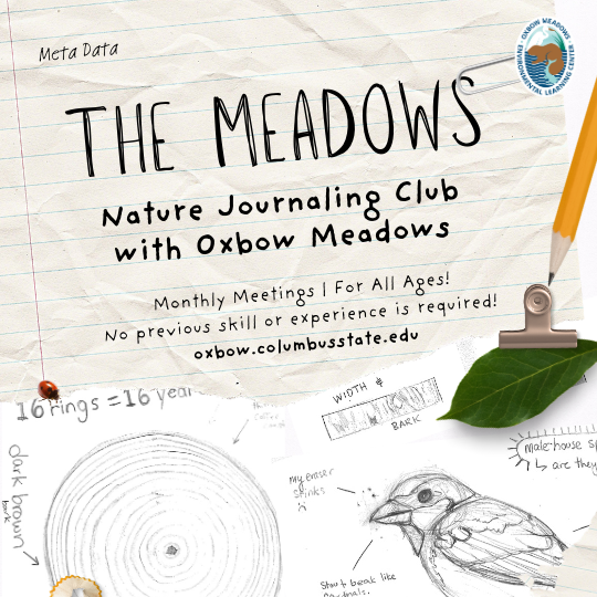 Programs & Events at Oxbow Meadows - The Meadows Nature Journaling Club with Oxbow Meadows