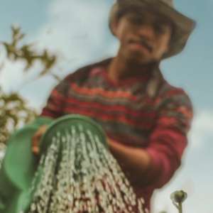 Chicago Humanities Festival: Community Gardens as Neighborhood Resources