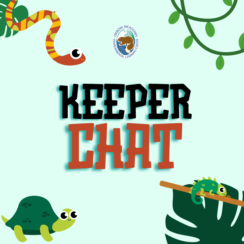 Keeper Chat