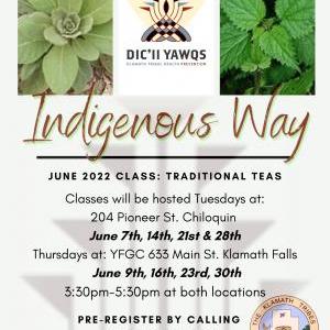 Traditional Teas â dicâii yawqs Indigenous Way for the month of June