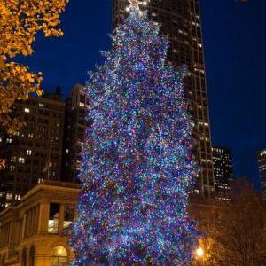 City of Chicago's Virtual Holiday Program