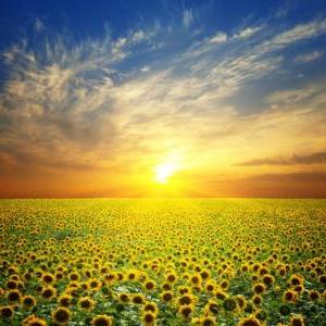 Karen Yates: Manifesting Abundance with Biofield Tuning