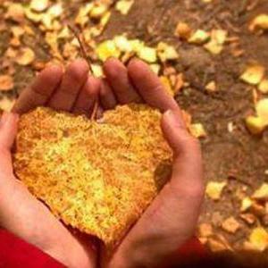 Fall Equinox Fair!