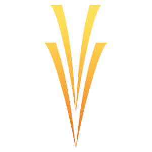 valley view casino and hotel logo