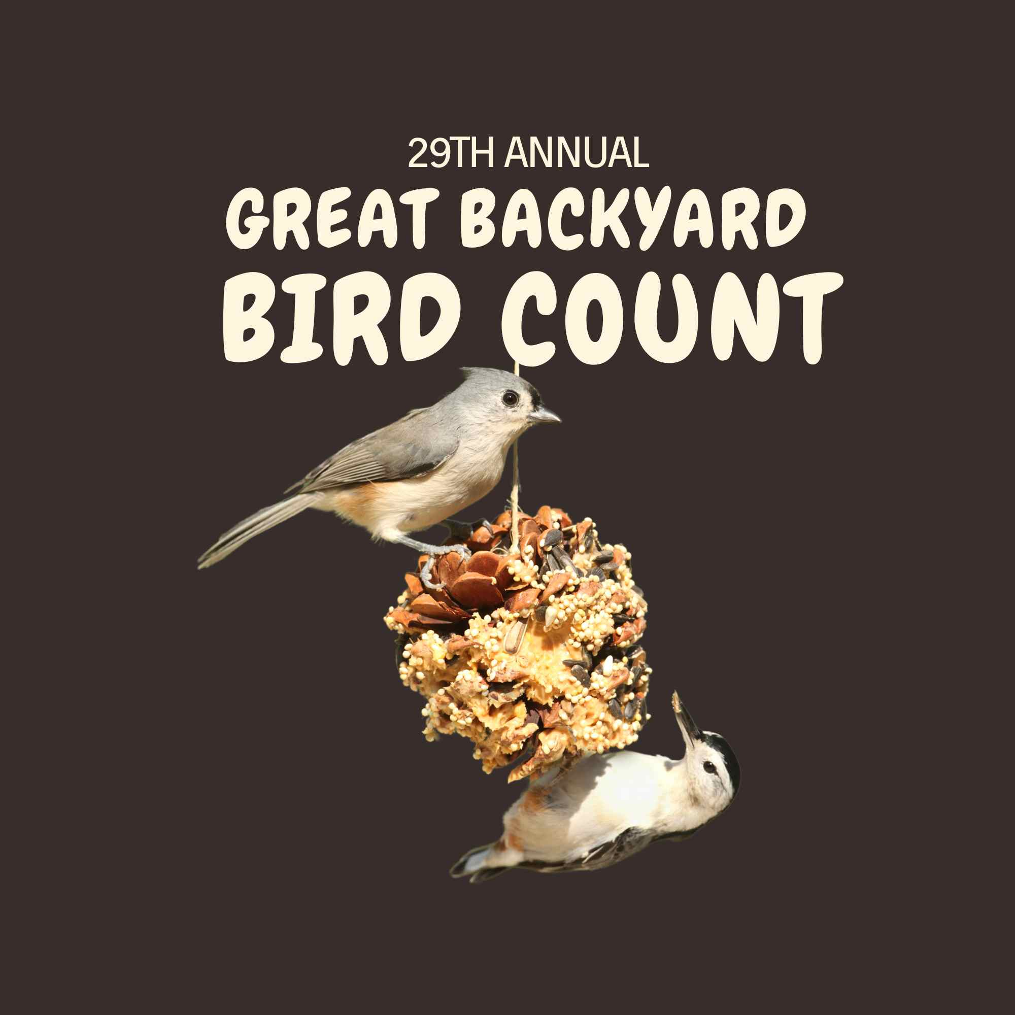 Great Backyard Bird Count