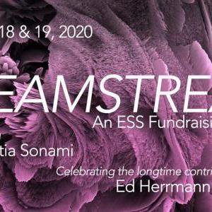 Dreamstream: An ESS Fundraising Event on ess.org